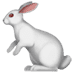 :rabbit2: :rabbit2: